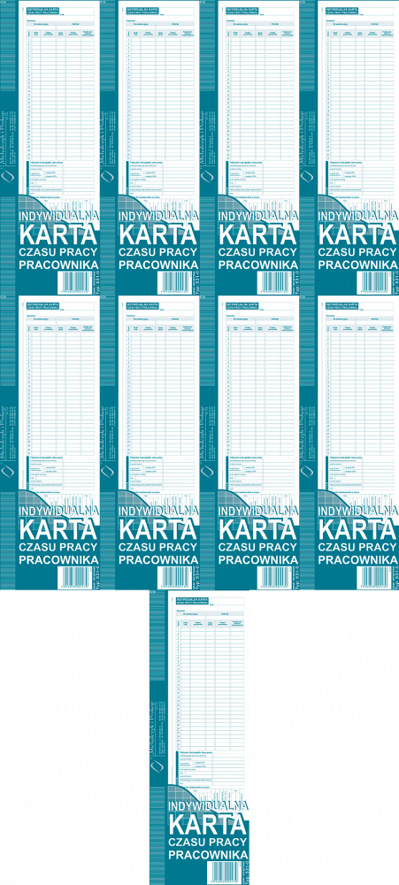 9x Druk akcydensowy Indywidualna karta czasu pracy pracownika MiP 531-0, 40k