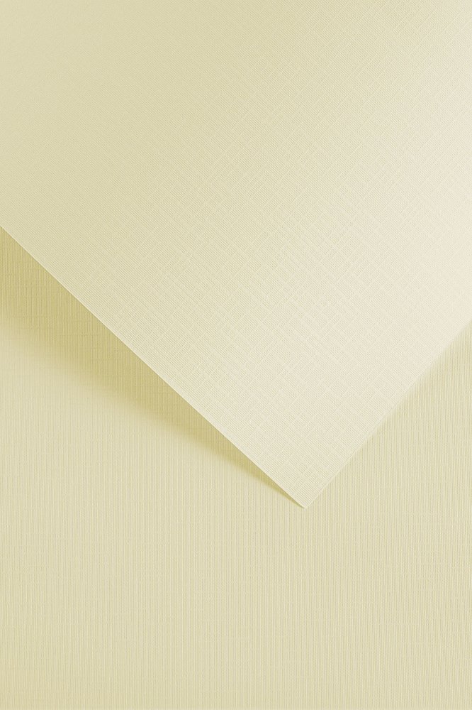 5x Karton ozdobny Galeria Papieru, sukno, A4, 180g/m2, 20 arkuszy, kremowy