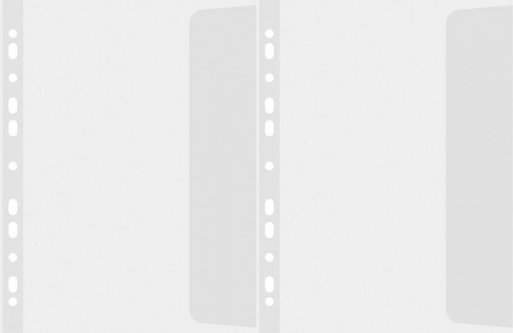 2x Koszulki groszkowe Biurfol, z klapką, A4, 90μm, 25 sztuk, transparentny