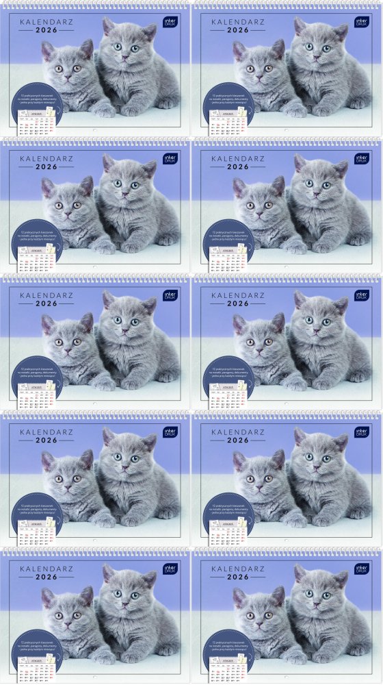 10x Kalendarz ścienny 2026, Interdruk, z kieszonką, 25x17.5cm, miesięczny, Zwierzaki