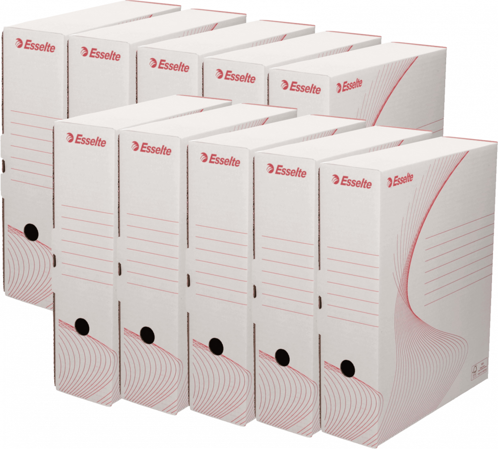 10x Pudło archiwizacyjne Esselte na segregatory, 100mm, biały
