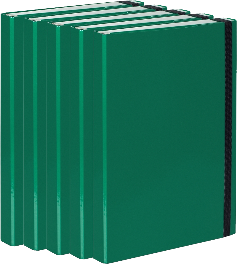 5x Teczka kartonowa z gumką VauPe Box z mechanizmem ringowym, A4, 30mm, zielony