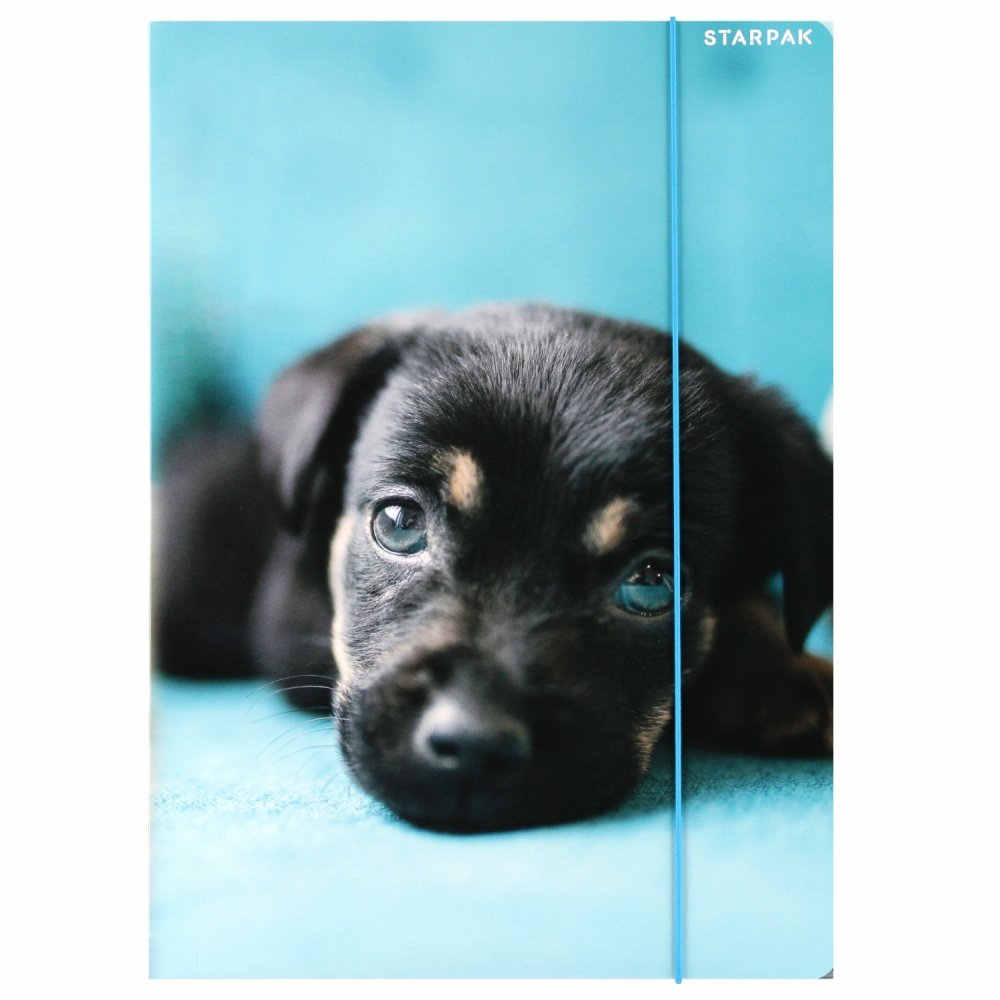 Teczka z gumką Starpak Doggy 2, A4, mix wzorów