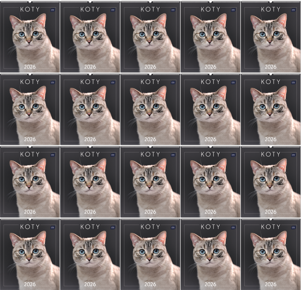 20x Kalendarz ścienny 2026, Interdruk, planszowy, 33.5x40cm, miesięczny, Koty