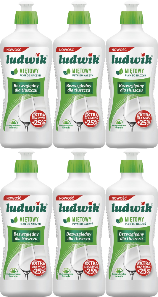 6x Płyn do naczyń Ludwik, miętowy, 900g