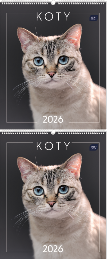 2x Kalendarz ścienny 2026, Interdruk, planszowy, 33.5x40cm, miesięczny, Koty
