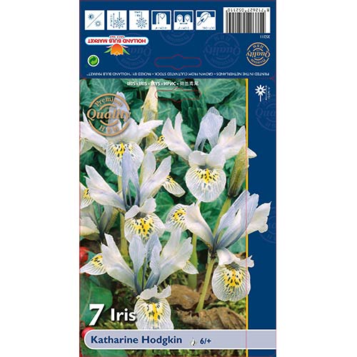 7 buc, Iris Katharine Hodgkin - Bulbi: Mod de ambalare: 7 buc