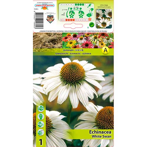 1 buc, Echinacea White Swan - Bulbi: Mod de ambalare: 1 buc