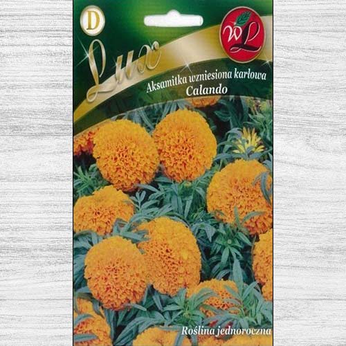 1 pac, Gălbenele Calando portocalii Legutko - Semințe: Mod de ambalare: 0.4 g