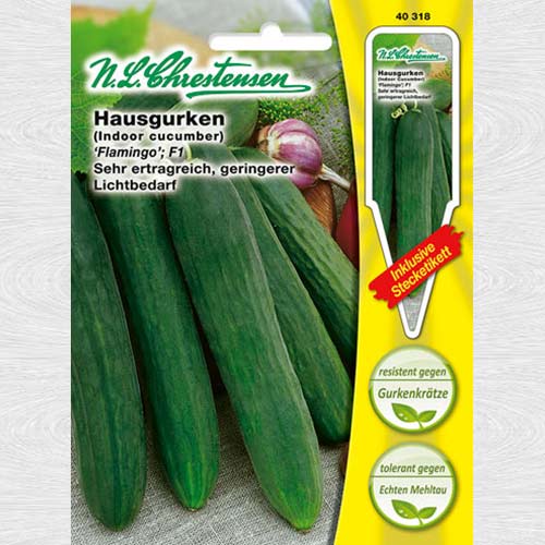 1 pac, Castraveți Flamingo F1 - Semințe: Mod de ambalare: 1 pac