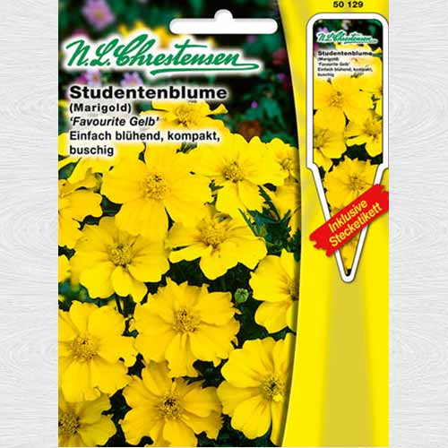 1 pac, Crăițe Favorit - Semințe: Mod de ambalare: 1 pac