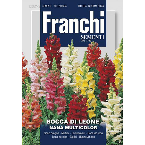 1 pac, Gura leului pitic, mix multicolor - Semințe: Mod de ambalare: 2 g