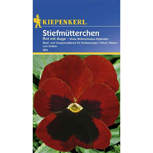 1 pac, Panseluțe Red eyed Kiepenkerl - Semințe: Mod de ambalare: 1 pac