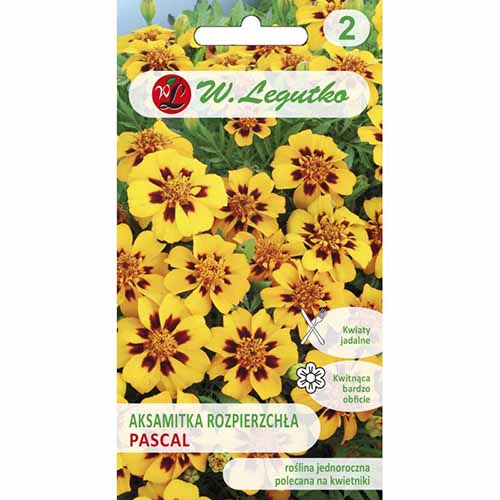 1 pac, Crăițe Pascal - Semințe: Mod de ambalare: 1 g