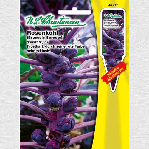 1 pac, Varză de Bruxelles Falstaff - Semințe: Mod de ambalare: 1 pac