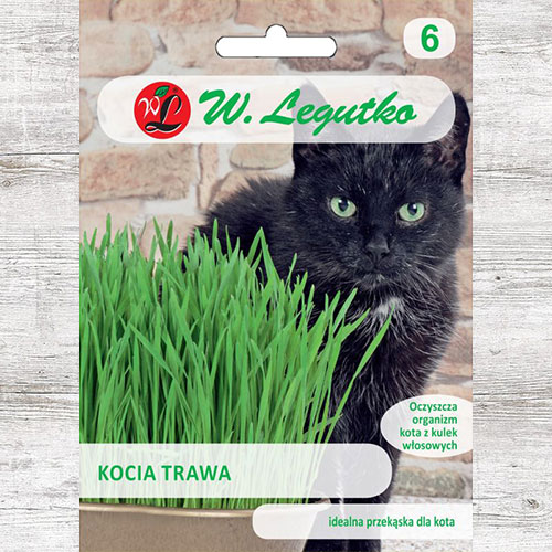 1 pac, Iarba mâței Legutko - Semințe: Mod de ambalare: 0.2 g