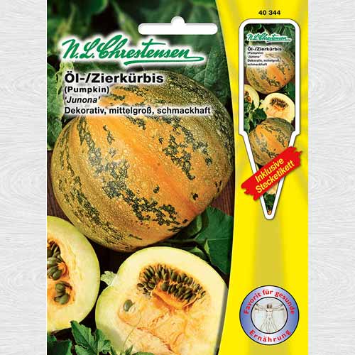 1 pac, Dovlecel Junona - Semințe: Mod de ambalare: 1 pac