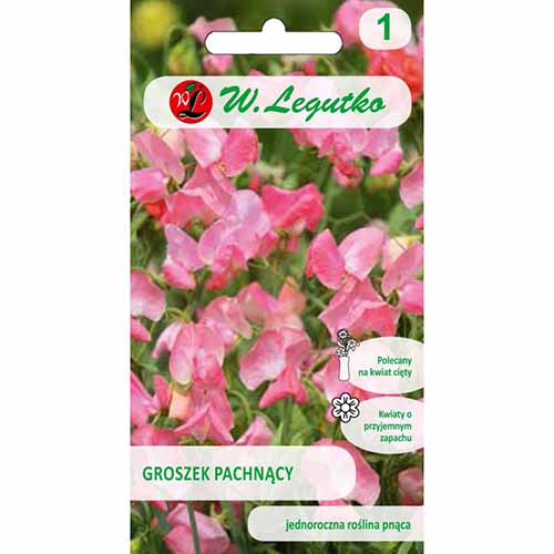 1 pac, Lathyrus odoratus (Sângele voinicului) roz - Semințe: Mod de ambalare: 3 g