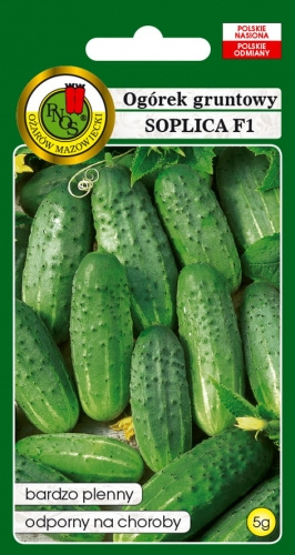 Nasiona Ogórek Soplica F1 5g