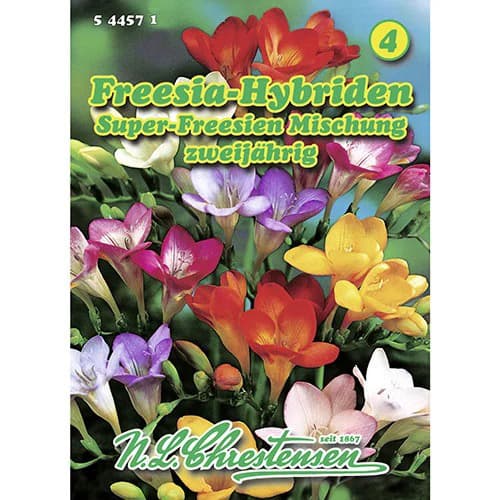 1 ob, Frézie plnokvětá, směs - : Monžstvo balíkov: 1 ob