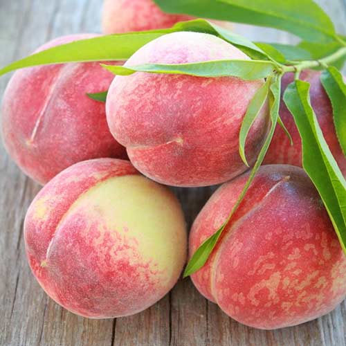 1 saz, Broskvoň Contessa - : Monžstvo balíkov: 1 saz