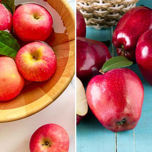 Hihetetlen ajánlat! Almafák Duó, 2 fajtából álló csemete készlet - Palánták: Mod de ambalare: 2 db