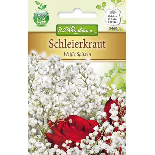 1 szt, Schleierkraut Weisse Spitzen - Samen: Ilość w opakowaniu: 1 Stück