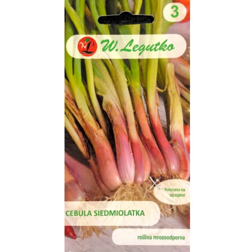 1 szt, Lauchzwiebel Winter Nest - Samen: Ilość w opakowaniu: 2 g