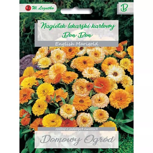 1 szt, Ringelblume Bon Bon Mischung - Samen: Ilość w opakowaniu: 2 g