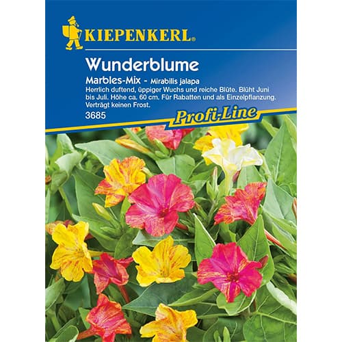 1 szt, Wunderblume Marbles - Samen: Ilość w opakowaniu: 1 Stück