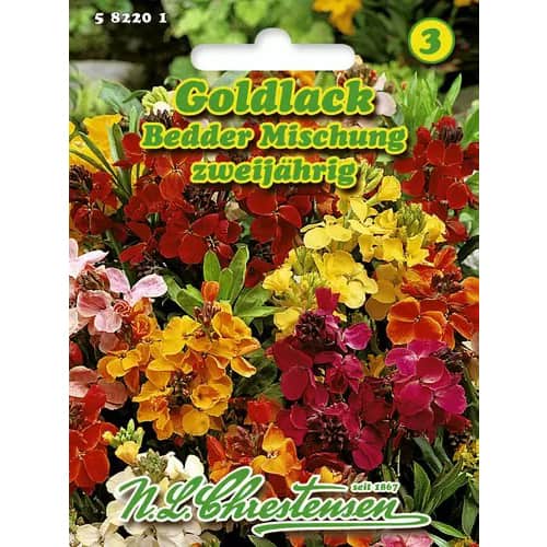 1 szt, Goldlack Bedder Mischung - Samen: Ilość w opakowaniu: 1 Stück