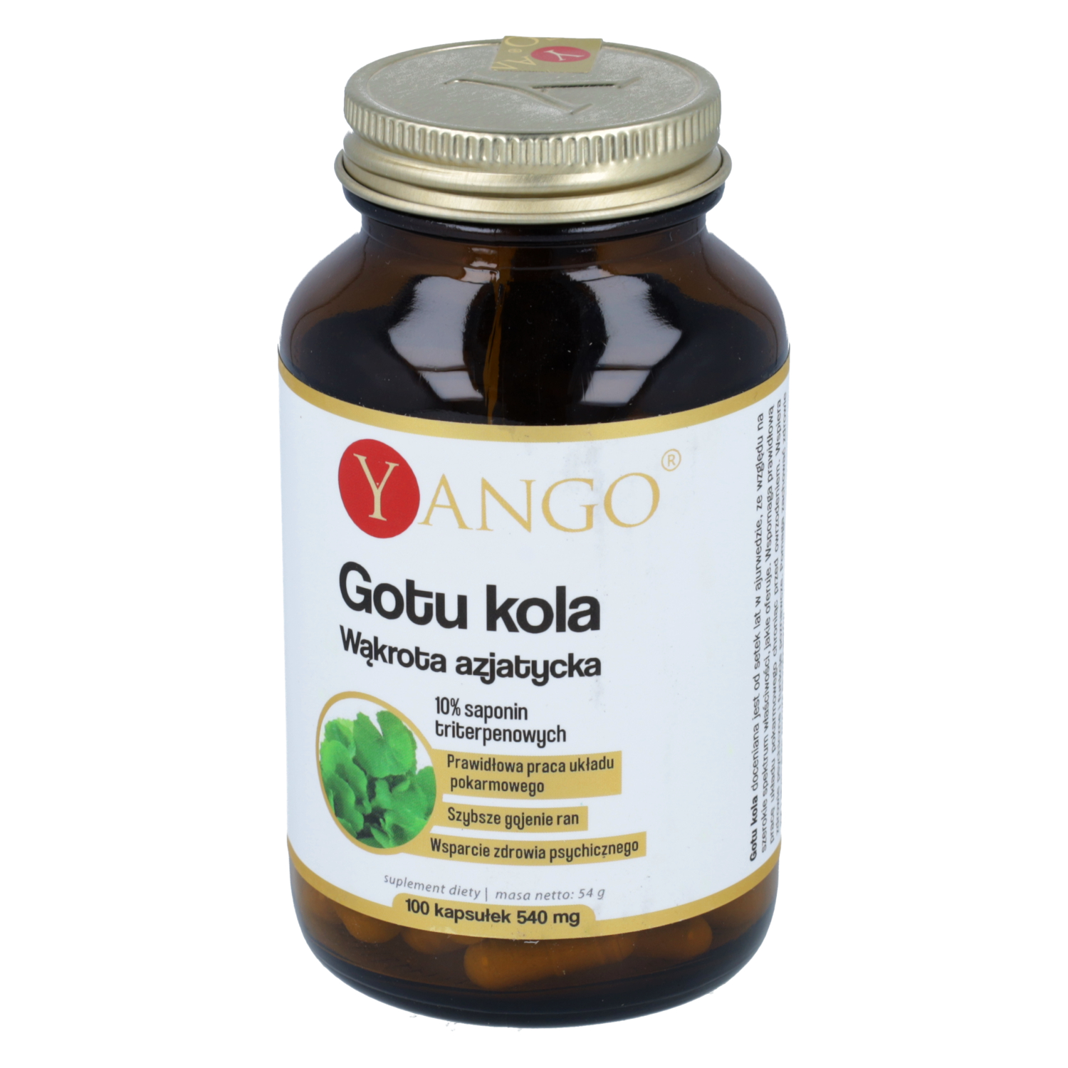 Yango gotu kola (wąkrotka azjatycja), 100 kapsułek