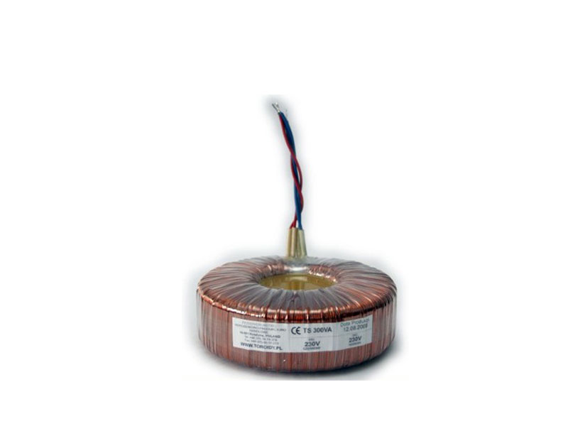 TTS0300 - Transformator TS300VA/230 - napięcie od 55 do 100 V