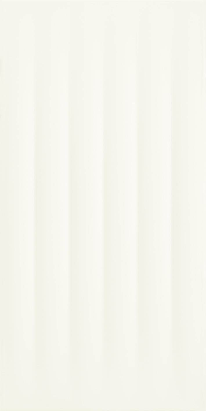 Paradyż Modul płytka ścienna 30x60 cm motyw B STR biała