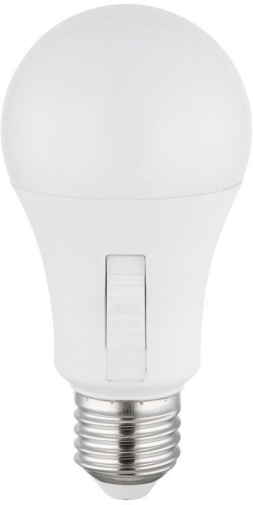 Globo Lighting Bulb żarówka LED 1x9 W K E27 10615