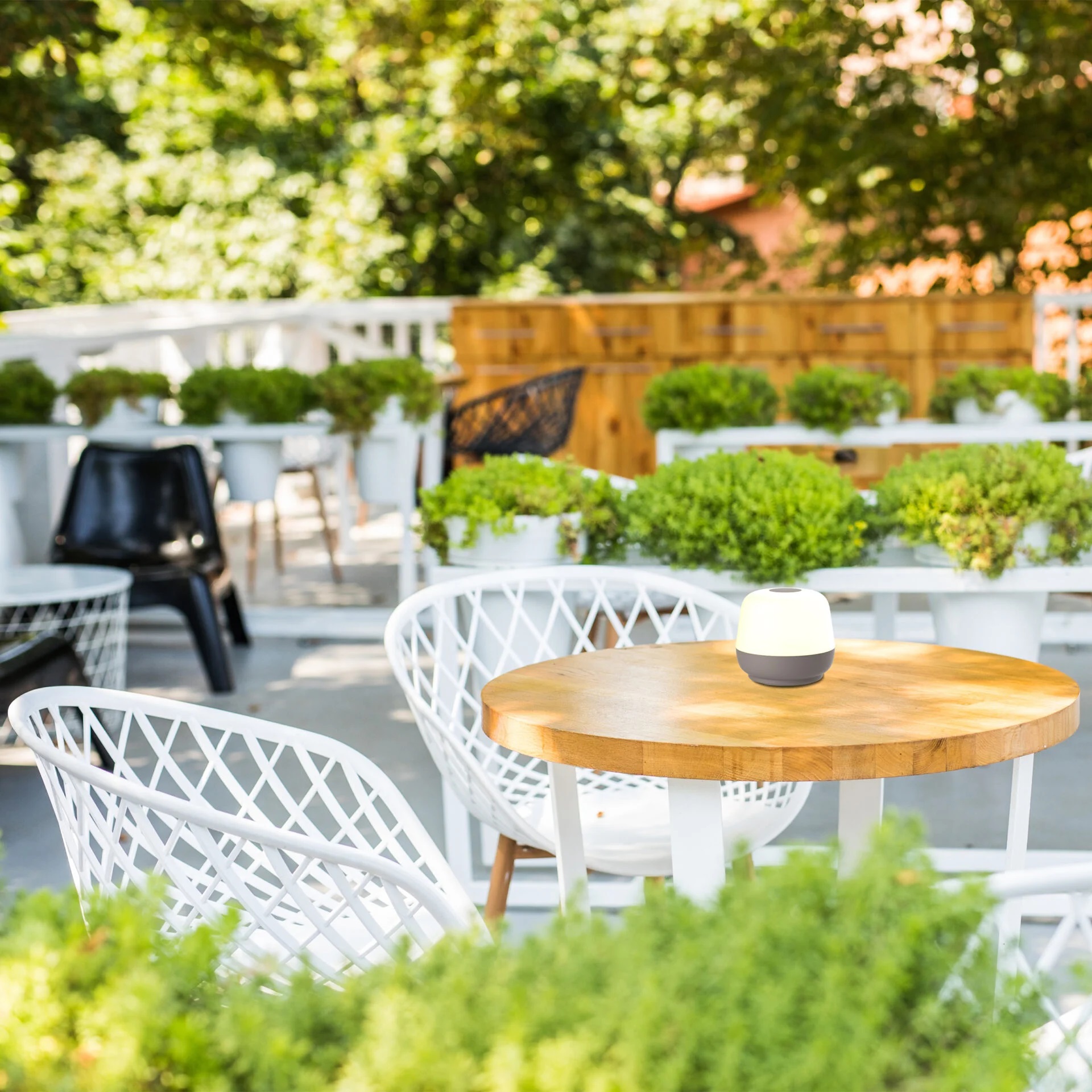 Goldlux Samba lampa stołowa beżowa 329394