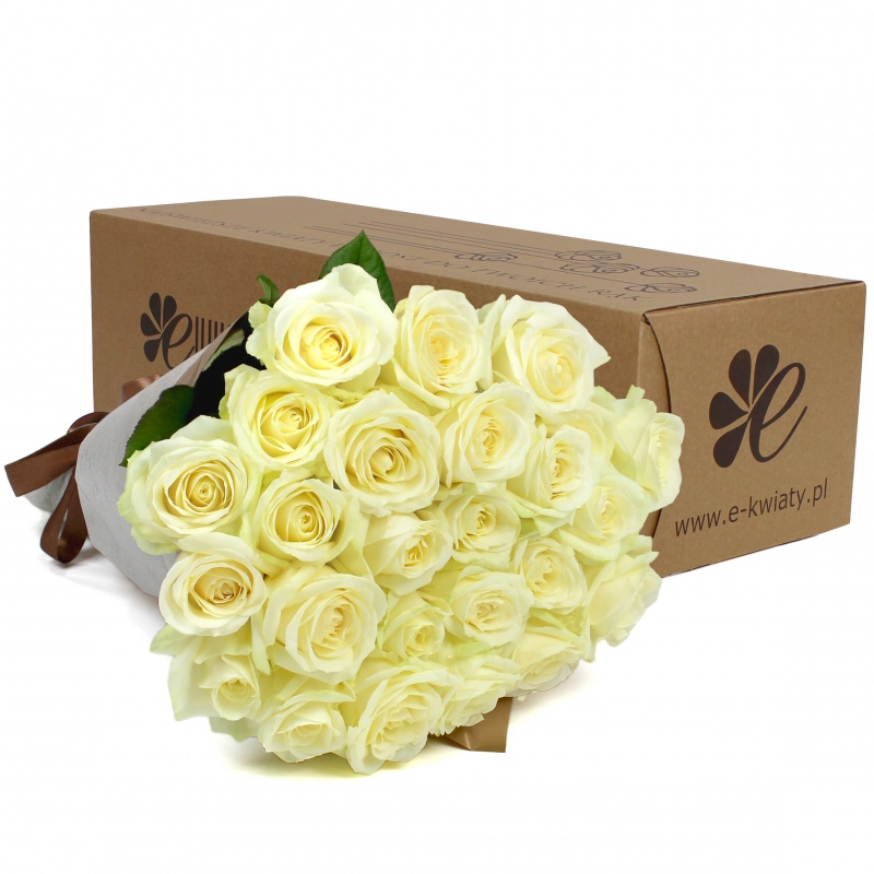 24 kremowe róże z dostawą pod drzwi - Poczta bukietowa - Kwiaciarnia internetowa - E-Kwiaty