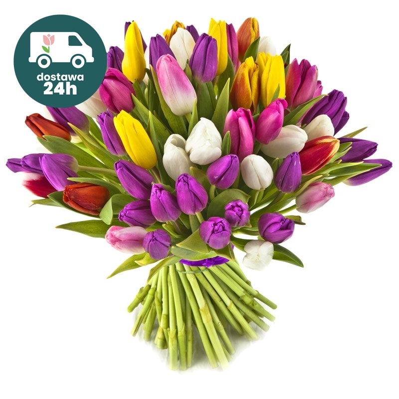 50 kolorowych tulipanów