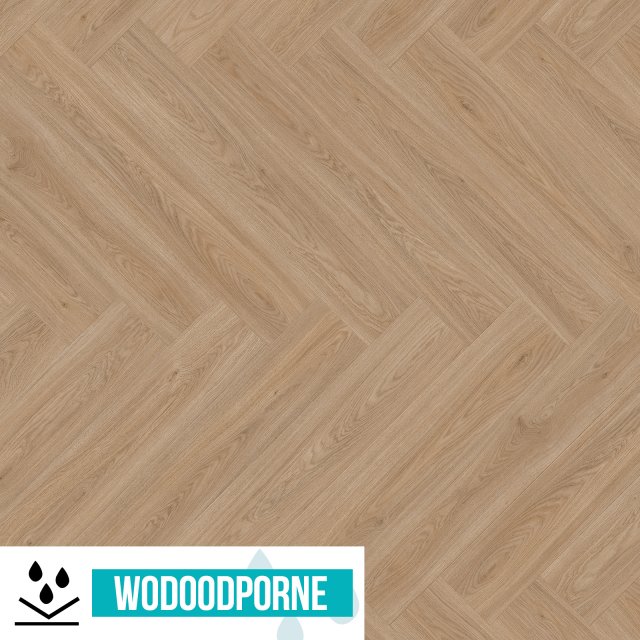 Panele winylowe SPC BARLINEK NEXO LIVING DĄB CALMA JODEŁKA KL 23-33 5