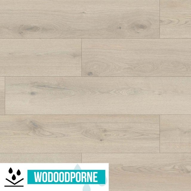 Panele winylowe SPC WILD WOOD BBL DĄB KREMOWY KL 23-34 6 mm