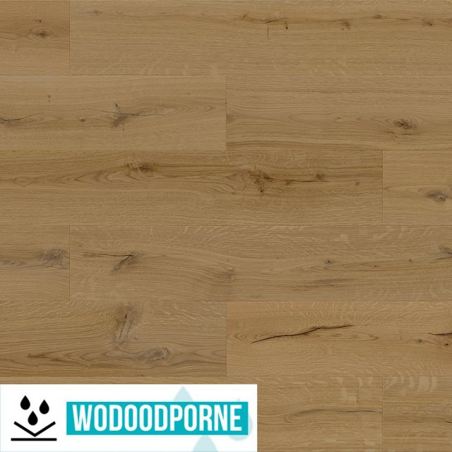 Panele winylowe SPC BARLINEK DĄB CAPRI KL 23-33 4,5 mm