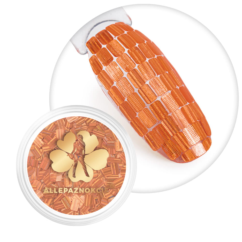 Ozdoba do paznokci Hologram Secret Allepaznokcie Nr 04