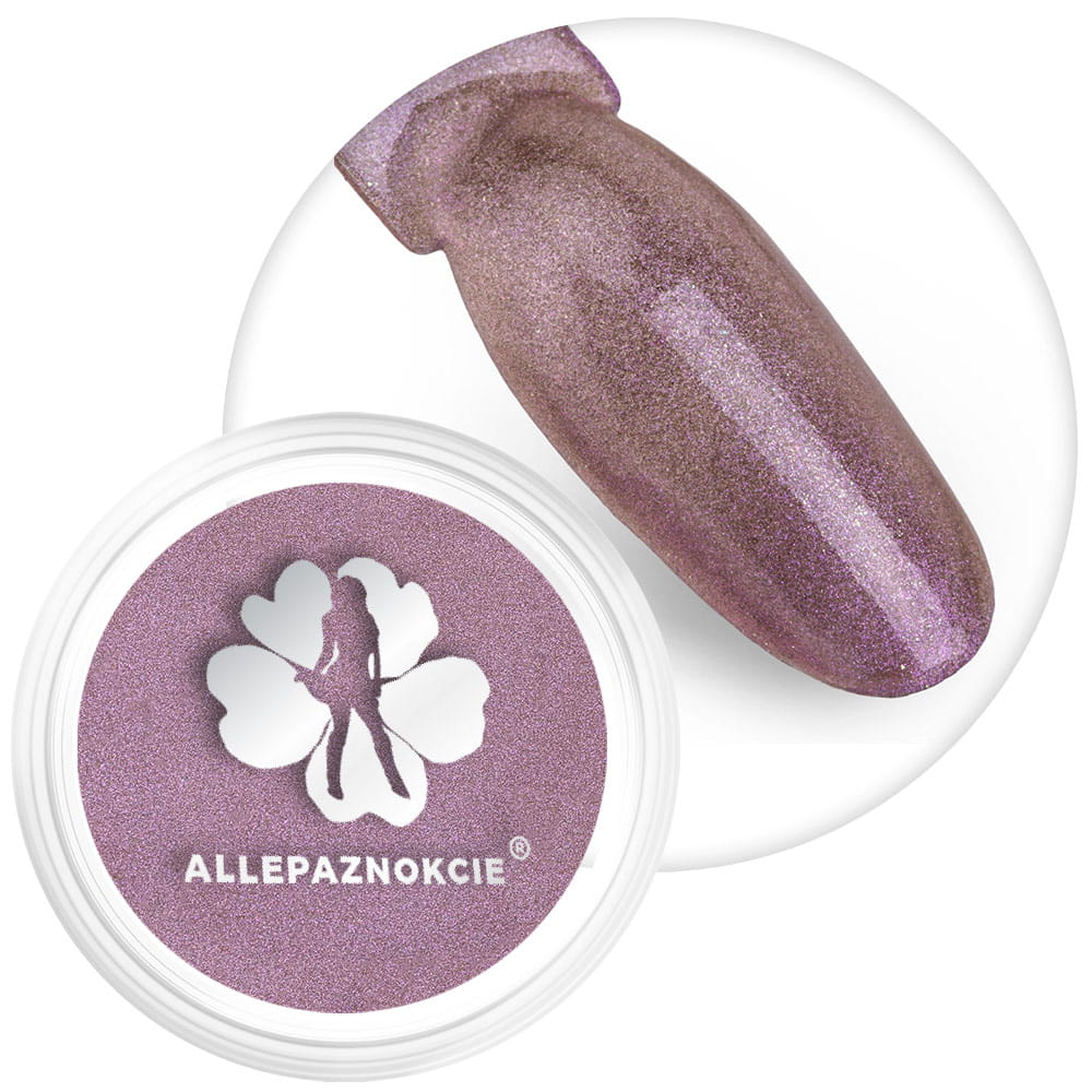 Pyłek do paznokci Chameleon Effect Allepaznokcie Nr 6