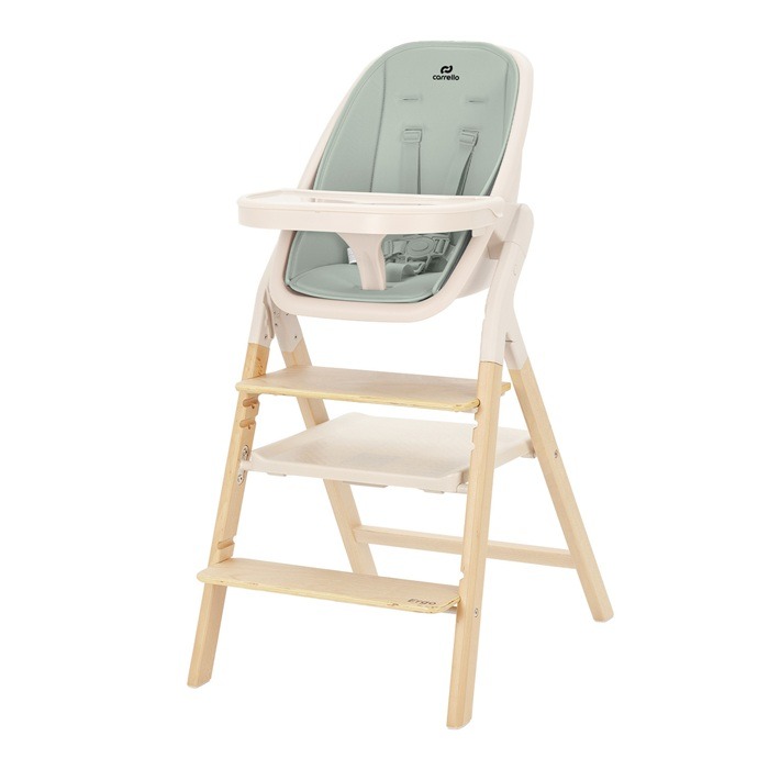 Carrello Ergo - krzesełko do karmienia 4w1-Elora Green