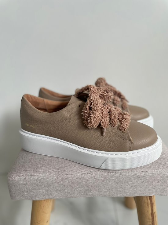 Sneakers SNF 8 Toffi Lico Groch NOWOŚĆ