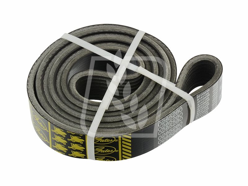 Pas Gates 0285280 0285280