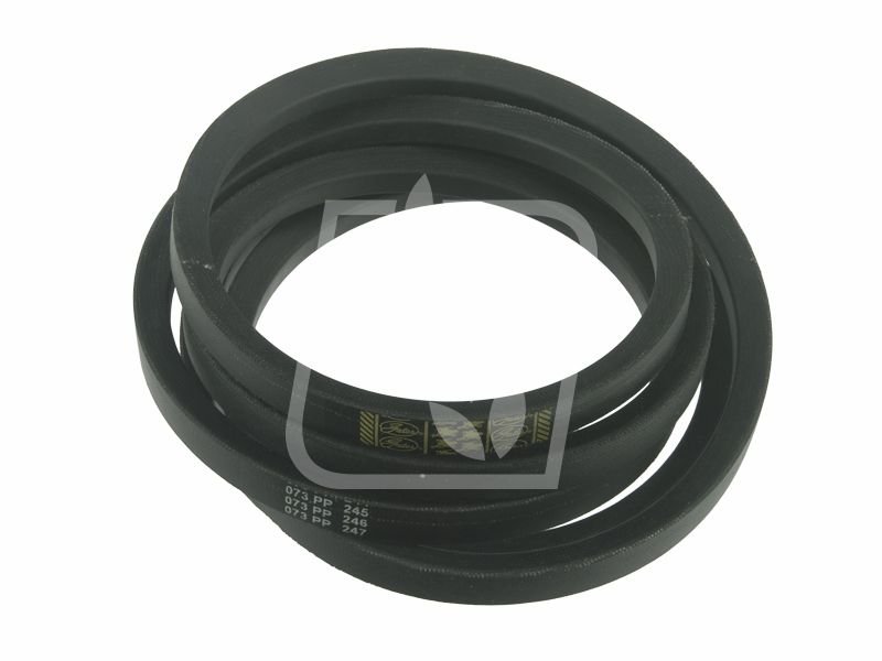 Pas 168725C1 0100160