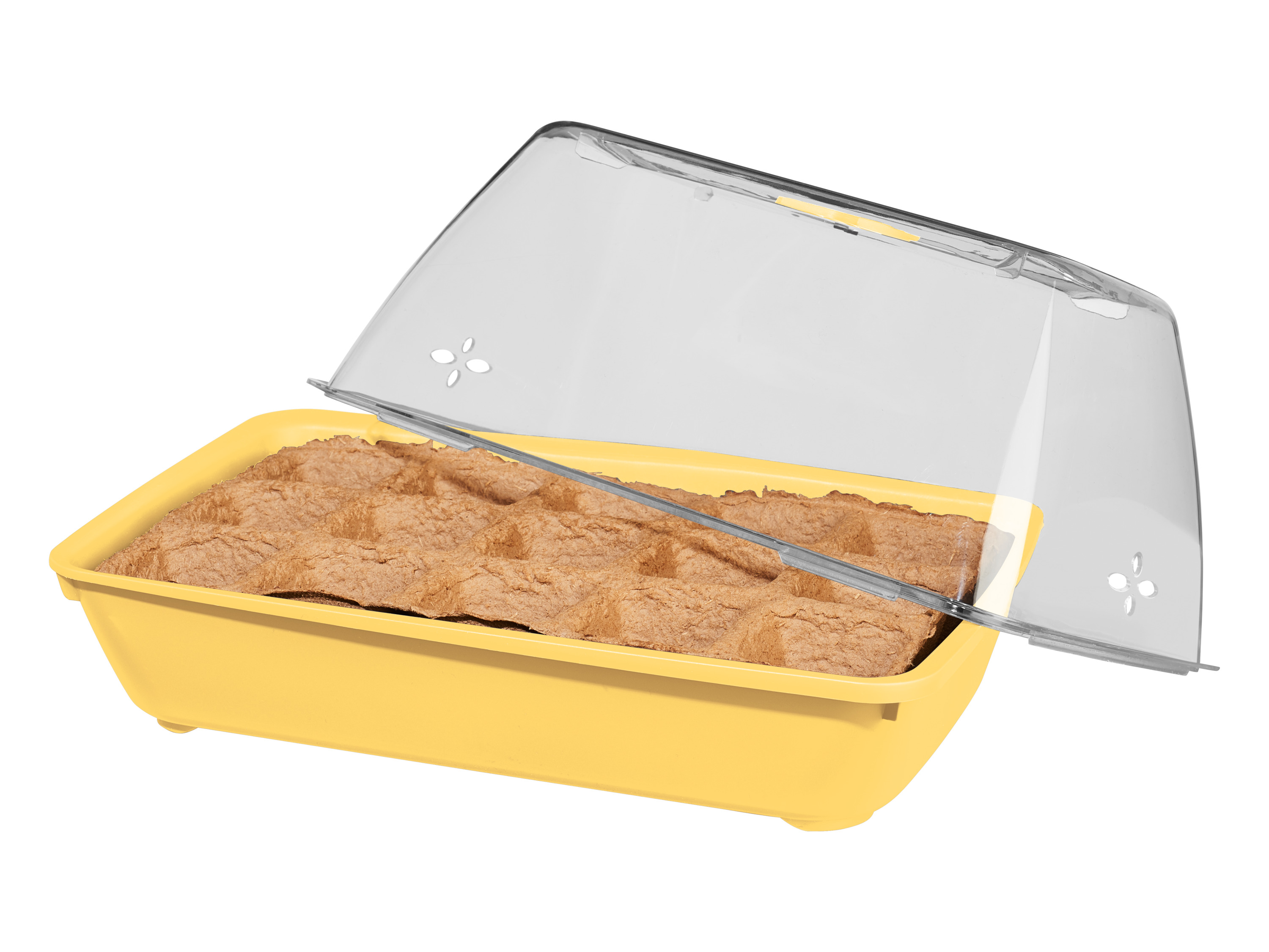 Parkside Miniszklarnia z nasionami bio Kwiaty bio