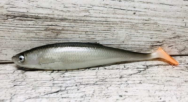 Sewro Guma Ukleja 16cm Czarna