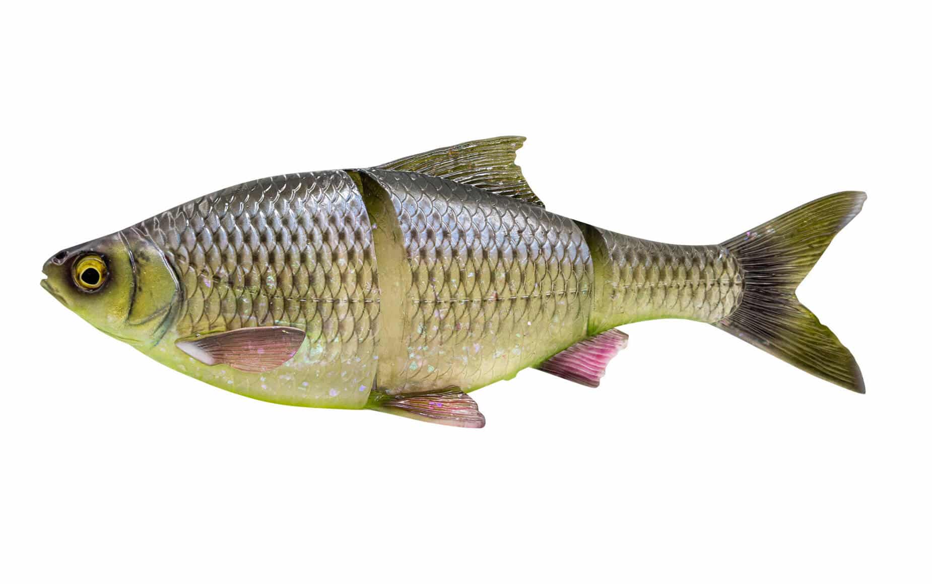 Savage Gear Guma 3D Line Thru Roach SS 32cm Hugo